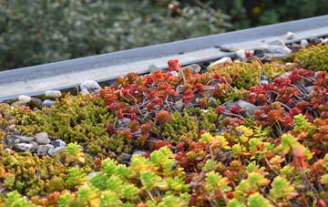 the cost of Scarcewater green roof installation