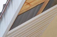 rated Scarcewater soffit repair companies